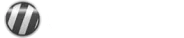 Elasticito