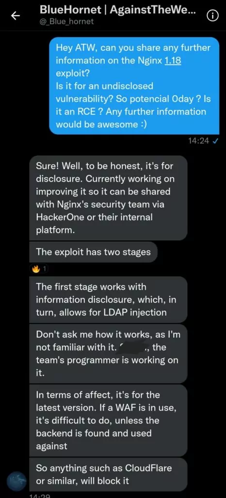 Some of the conversations about Nginx vulnerability with BlueHornet.