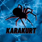 Deep Web Profile: Karakurt Extortion Group