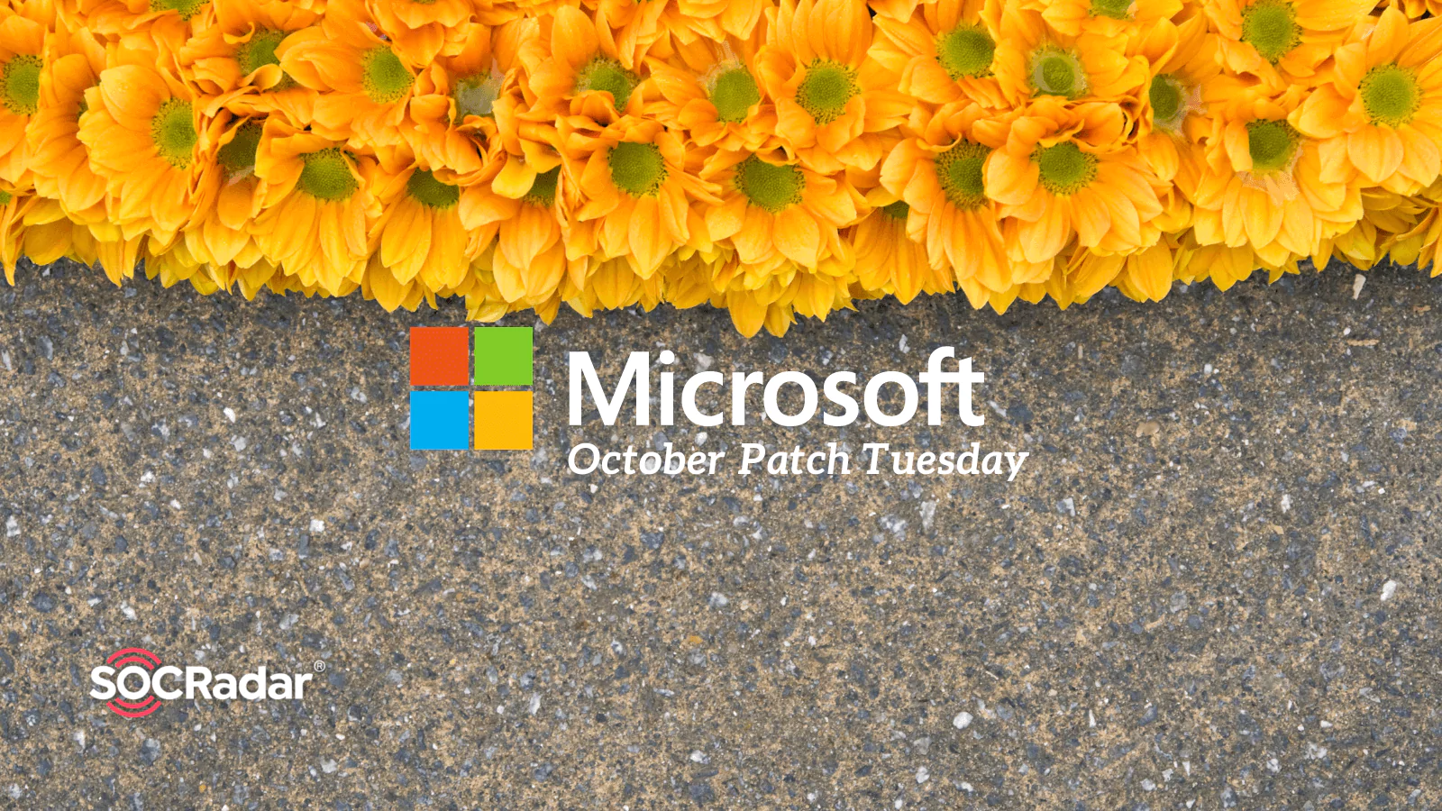 SOCRadar® Cyber Intelligence Inc. | Microsoft October Patch Tuesday Fixes Actively Exploited Zero Day and 13 Critical Flaws