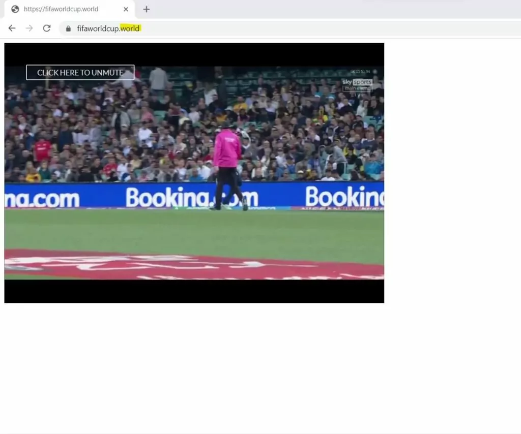 Another website designed to live stream FIFA (fifaworldcup[.]world) 