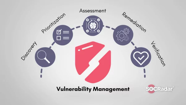 Basic steps of effective vulnerability management.