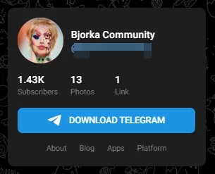 Figure 9. One of the Bjorka Telegram channels with a relatively high number of followers 