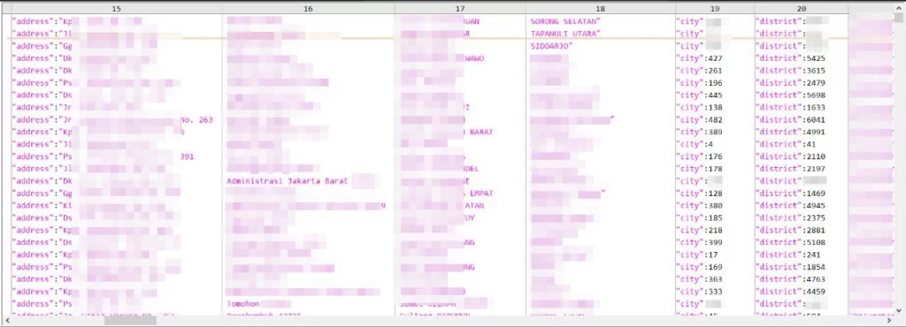 Figure 14. Leaked information sample of Indonesian hospital database