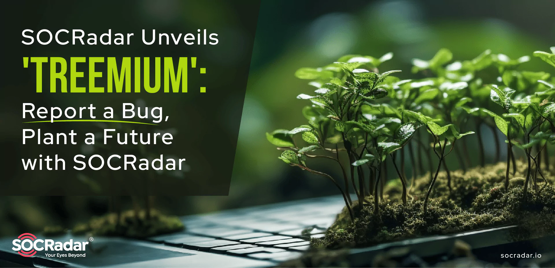 SOCRadar® Cyber Intelligence Inc. | SOCRadar Unveils ‘Treemium’: Report a Bug, Plant a Future with SOCRadar