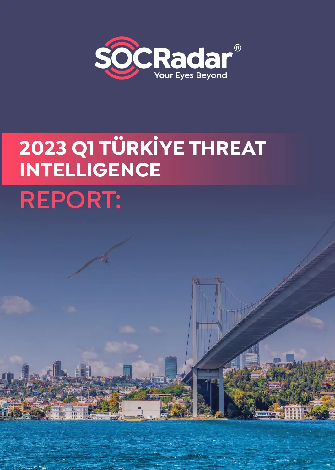 SOCRadar® Cyber Intelligence Inc. | Türkiye Threat Intelligence Report (Q1 2023)