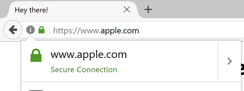 Fake Apple domain. homograph