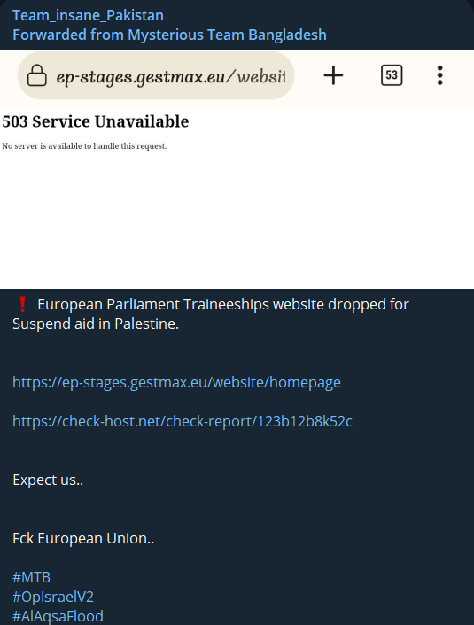 Team Insane Pakistan’s Telegram post, service was unavailable for a brief time