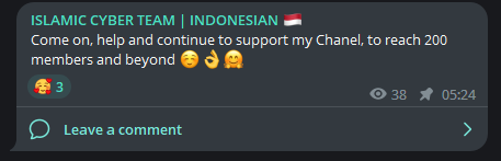 Fig. 10. Islamic Cyber Team’s Telegram post of seeking more supporters
