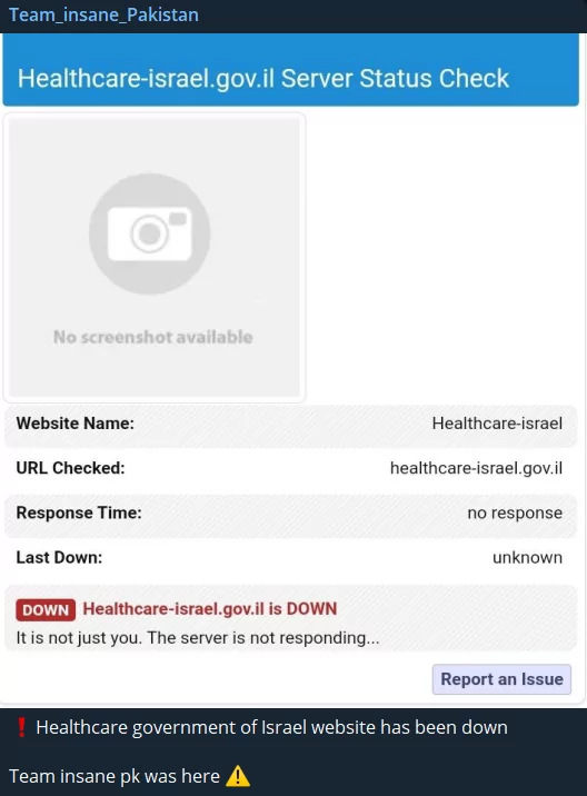 Team_insane_Pakistan is targeting Israeli healthcare