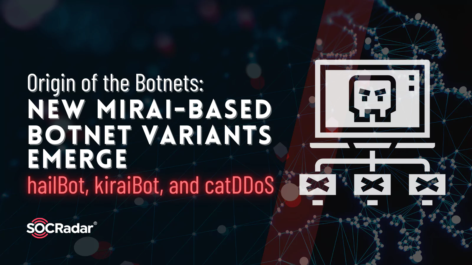 SOCRadar® Cyber Intelligence Inc. | Origin of the Botnets: New Mirai-based Botnet Variants Emerge (hailBot, kiraiBot, and catDDoS)
