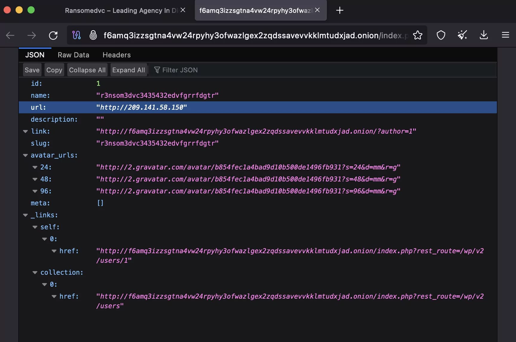 On the Horizon: Ransomed.vc Ransomware Group Spotted in the Wild