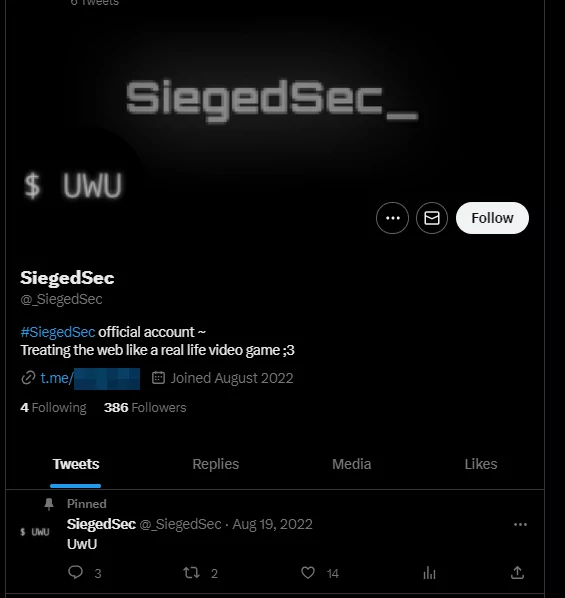 Fig. 2. Twitter page of SiegedSec