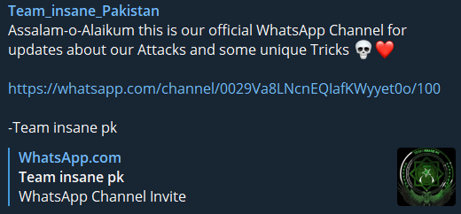 Team Insane Pakistan’s WhatsApp channel announcement, Israel-Palestine Conflict