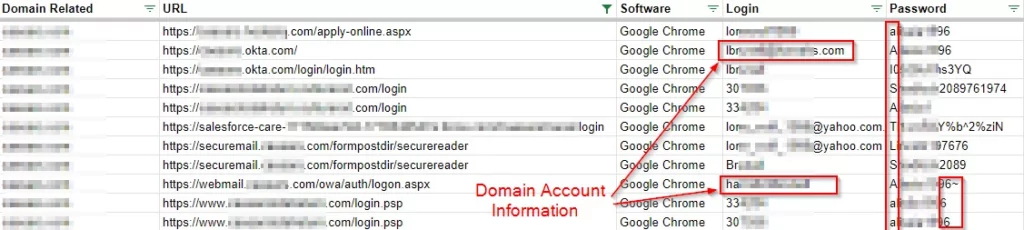 Domain account information.