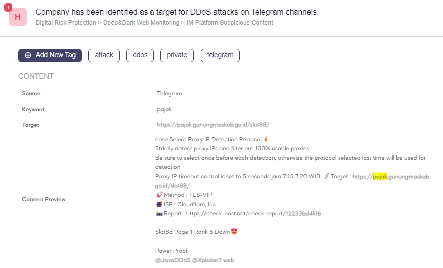 Notifying the company of a planned DDoS attack in one of the telegram groups monitored by SOCRadar