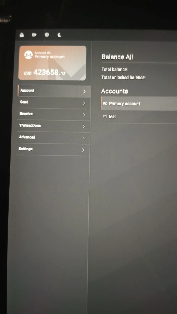 The panel that shows a Monero Wallet
