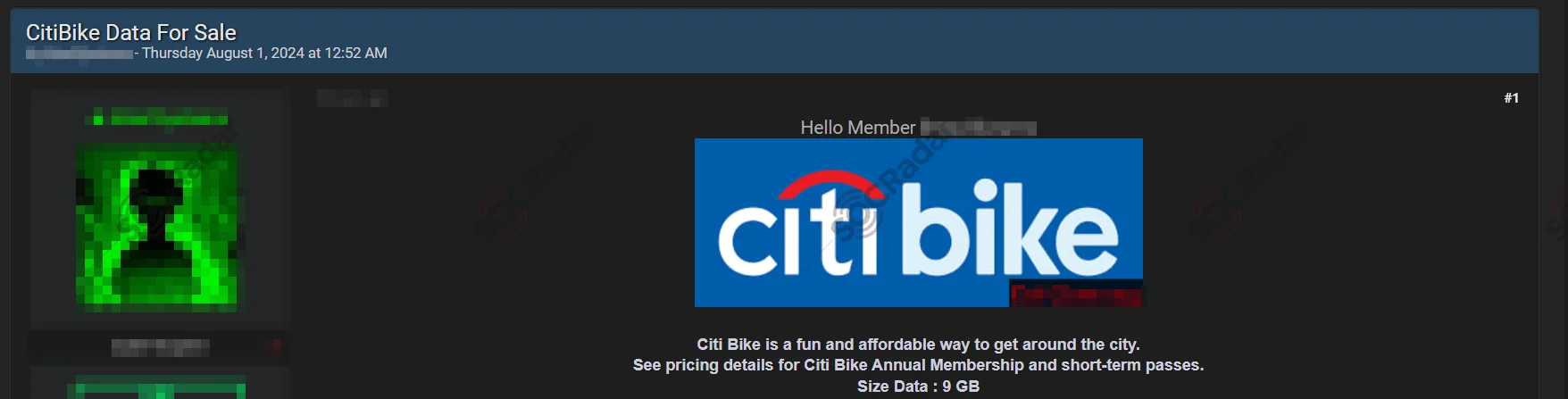 Alleged Database of Citi Bike is on Sale