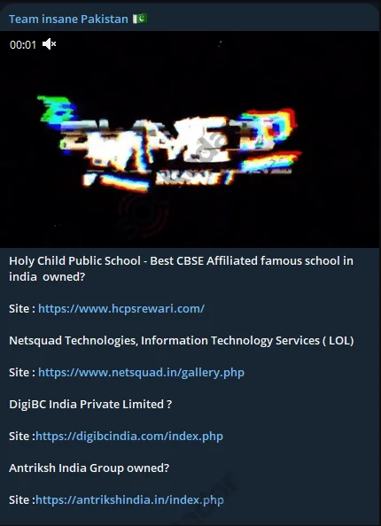 Telegram channel of Team Insane Pakistan, monitored by SOCRadar