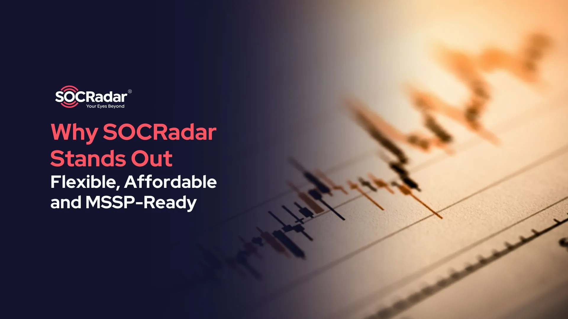 SOCRadar® Cyber Intelligence Inc. | Flexible, Affordable, and MSSP-Ready: Why SOCRadar Stands Out