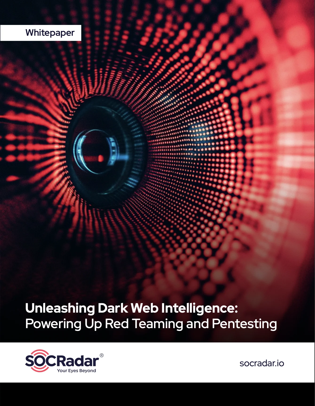 SOCRadar® Cyber Intelligence Inc. | Unleashing Dark Web Intelligence: Powering Up Red Teaming and Pentesting