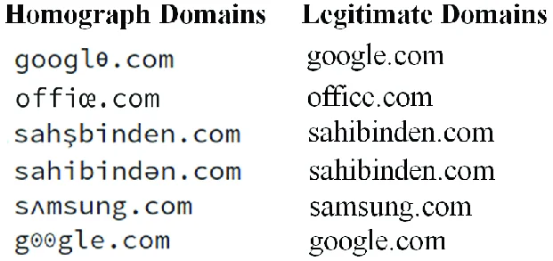 Homograph Domains vs Legitimate Domains, Source