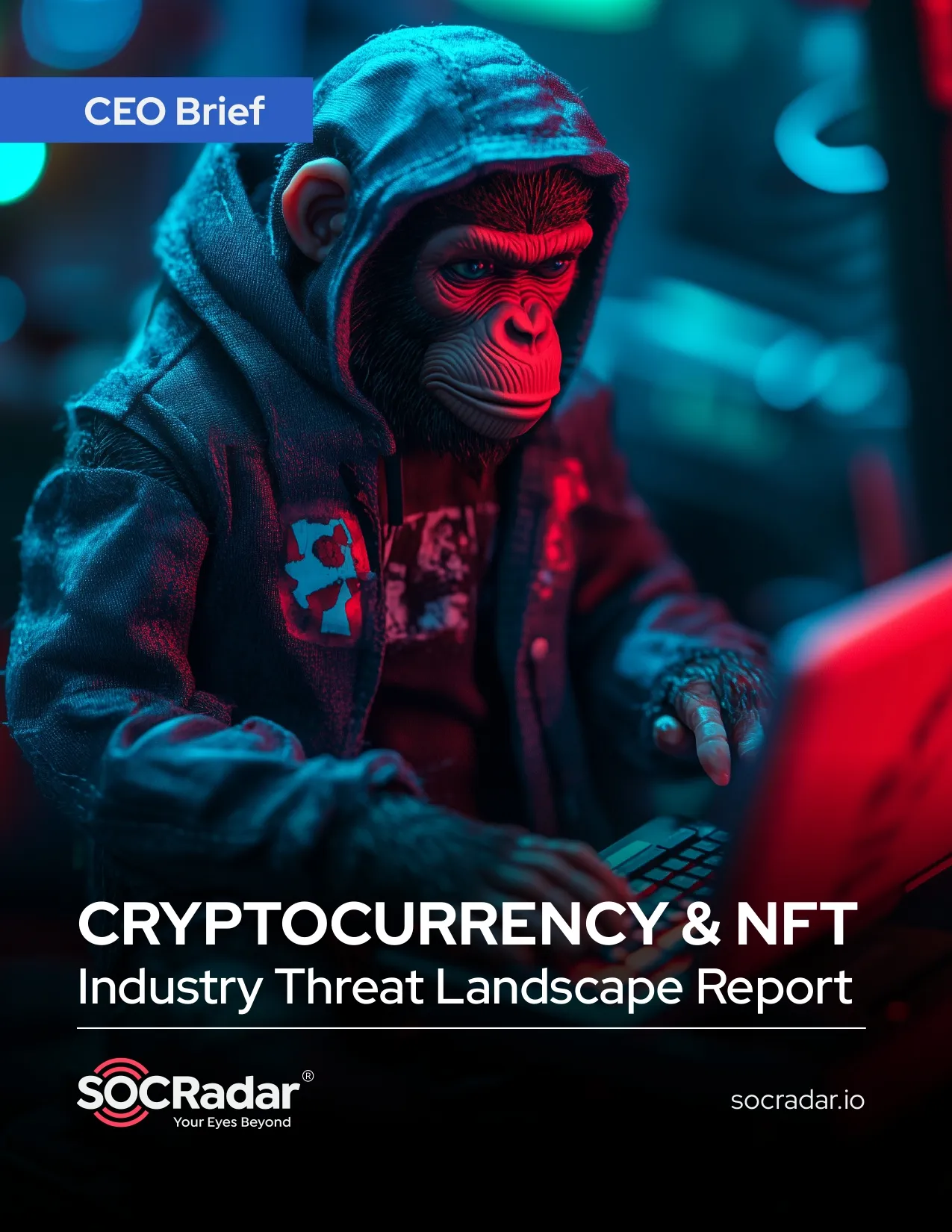SOCRadar® Cyber Intelligence Inc. | Cryptocurrency & NFT Industry Threat Landscape Report’s CEO Brief