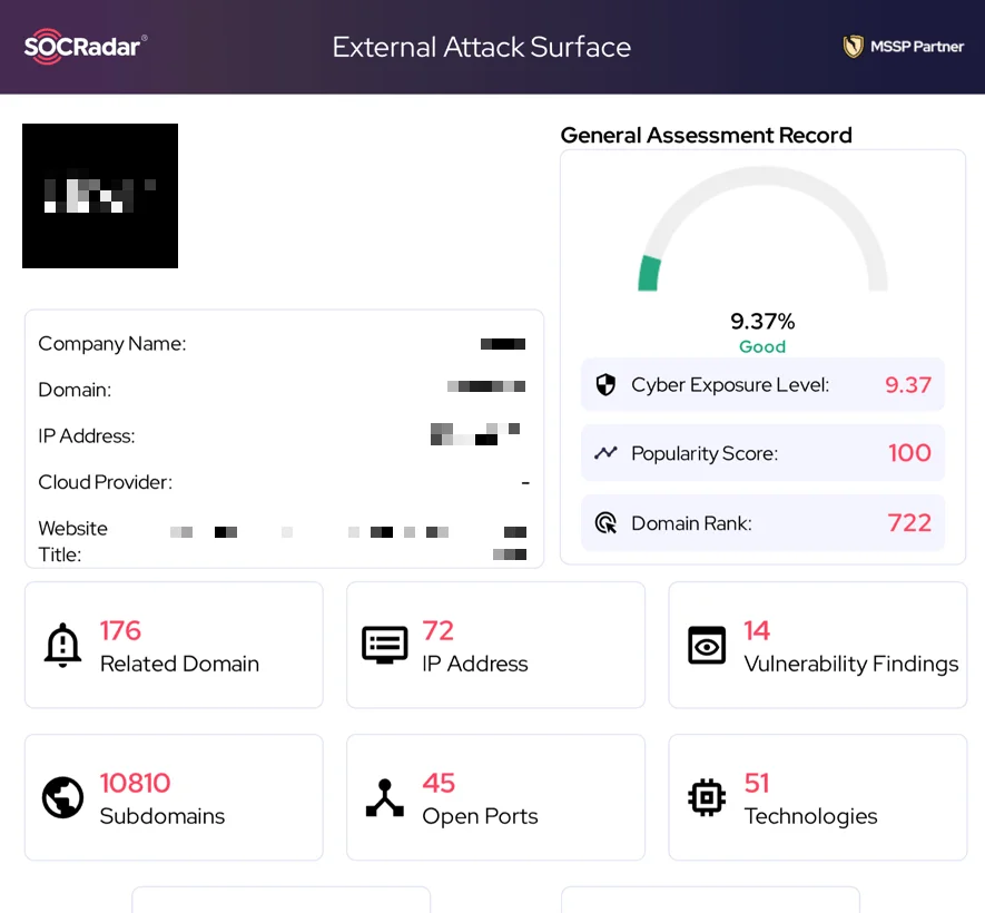 Sample snapshot of external attack surface overview included in a SOCRadar Threat Assessment Report
