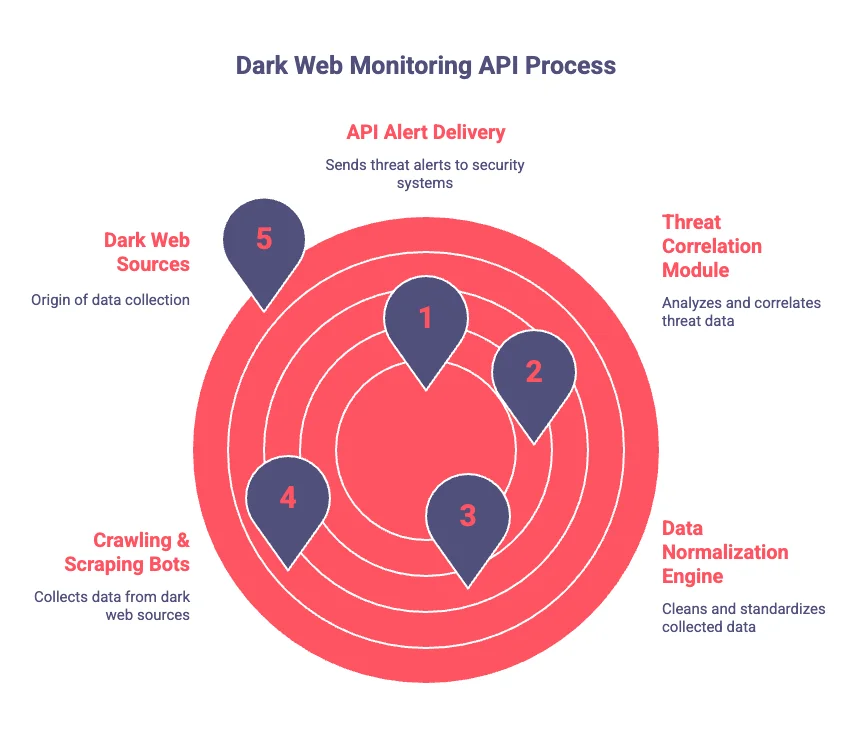 How a Dark Web Monitoring API Works Behind the Scenes