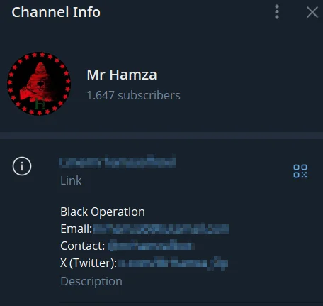 Mr Hamza’s Telegram channel info