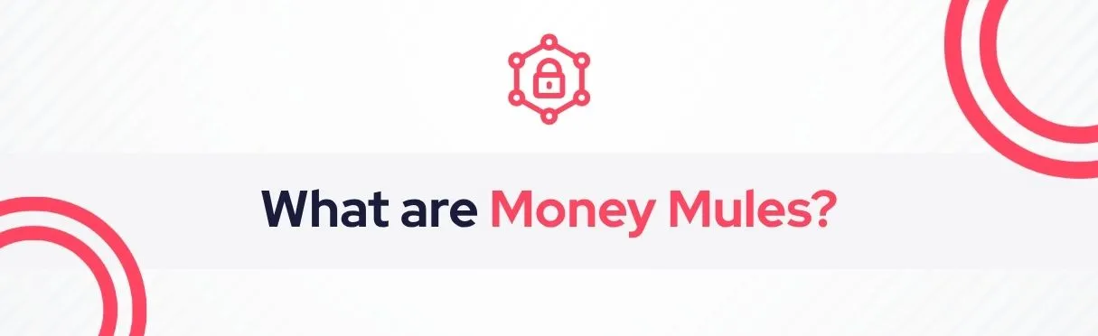 SOCRadar® Cyber Intelligence Inc. | Money Mules