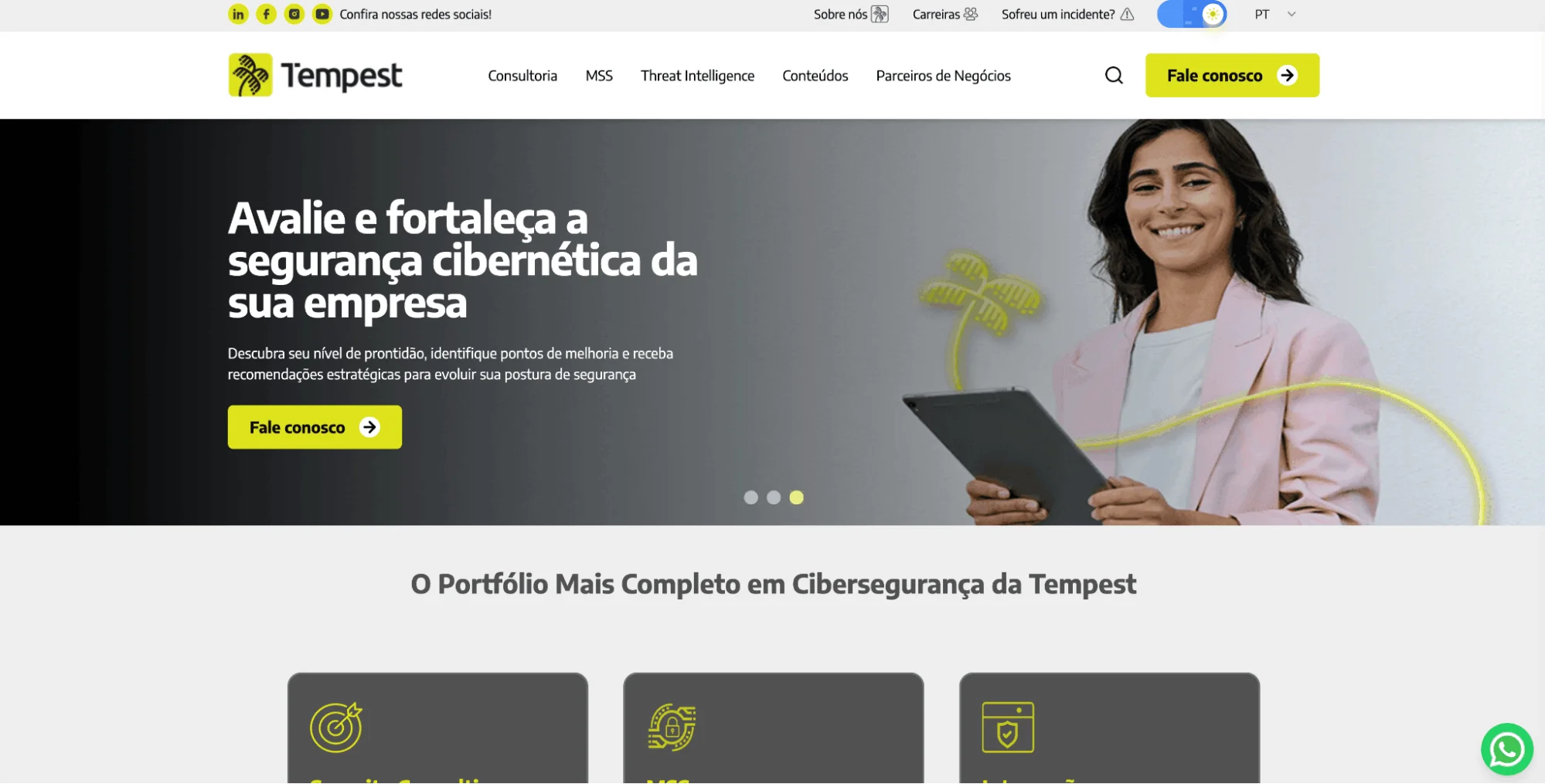 Website of Tempest Security Intelligence
