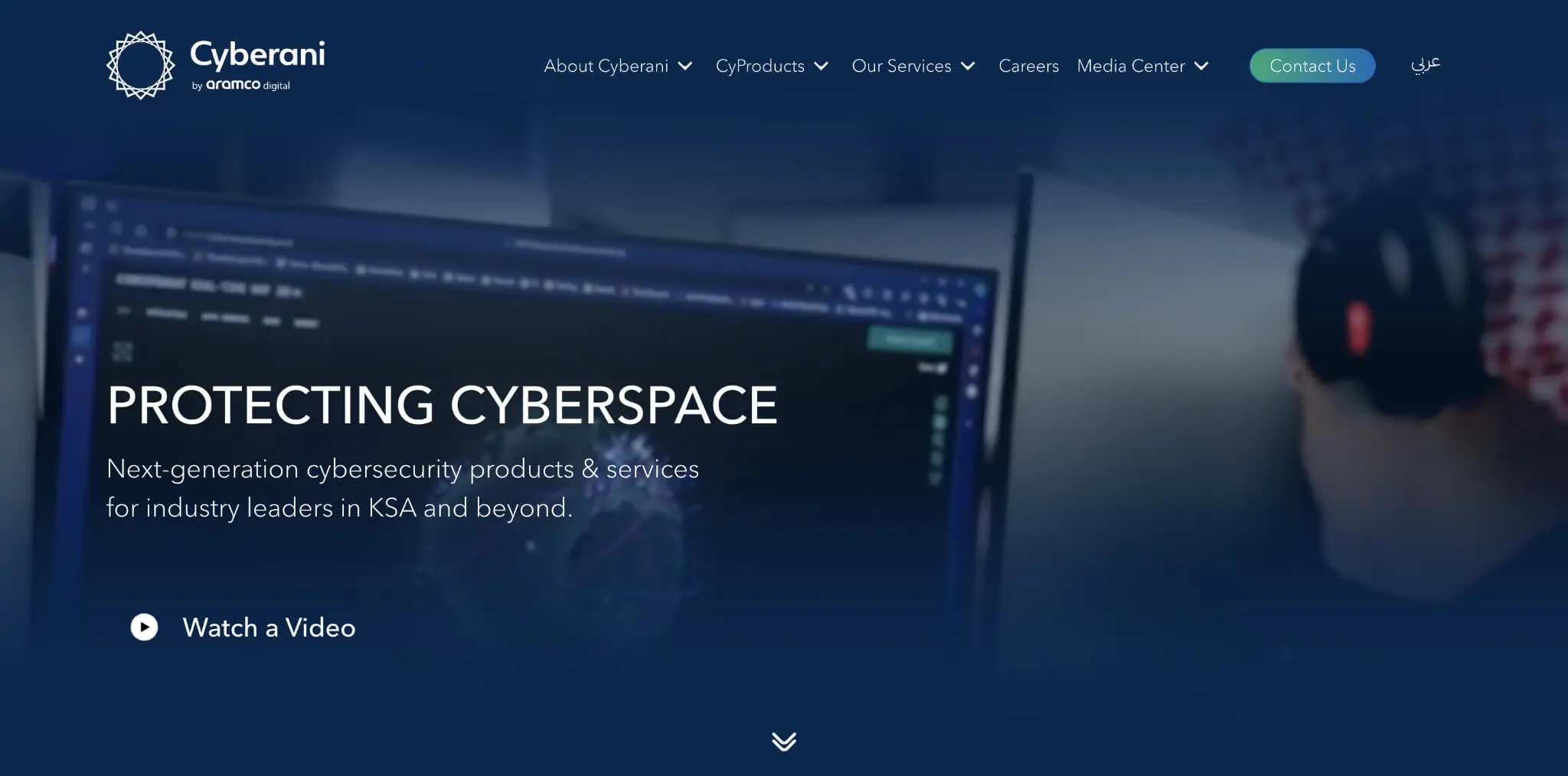 Cyberani official website