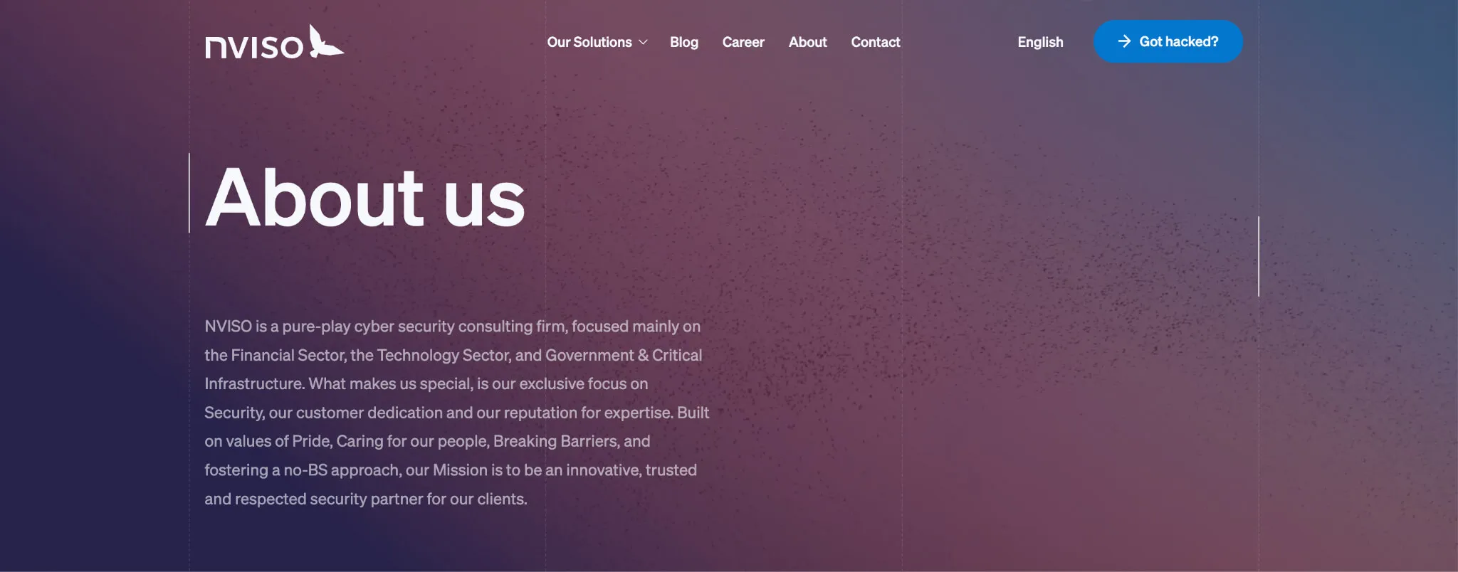 Website: nviso.eu · HQ: Brussels, Belgium · Team: 300+ experts