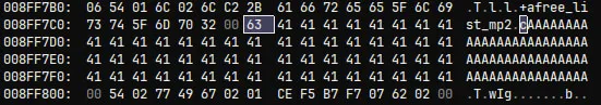 Heap Grooming in hex dump